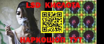 молекула духа Камышлов