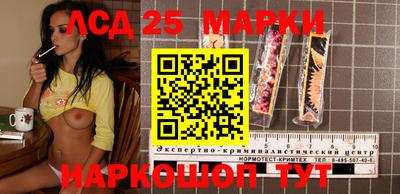 молекула духа Камышлов