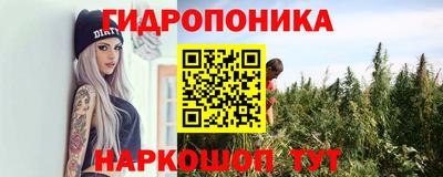 молекула духа Камышлов