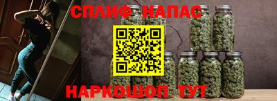 молекула духа Камышлов