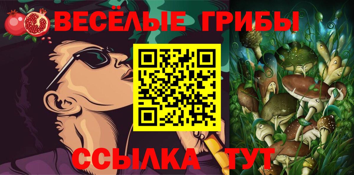Псилоцибиновые грибы Краснодар